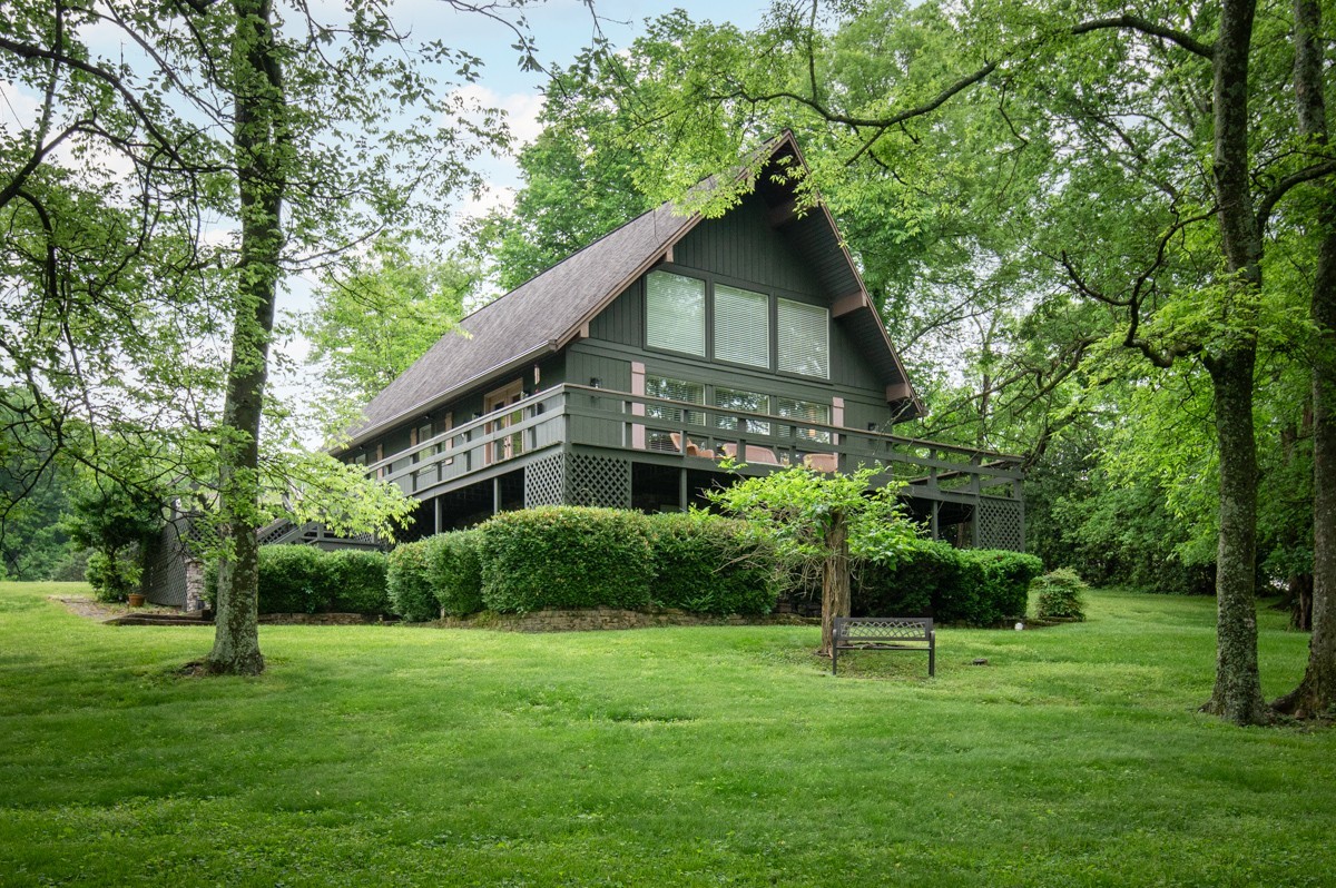 a backyard of a house with plants and large tree