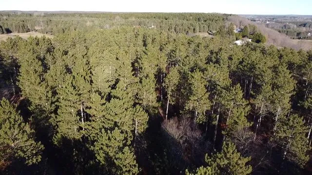 $799,000 | 7313 West 12 1/2 Road, Mesick, MI 49668