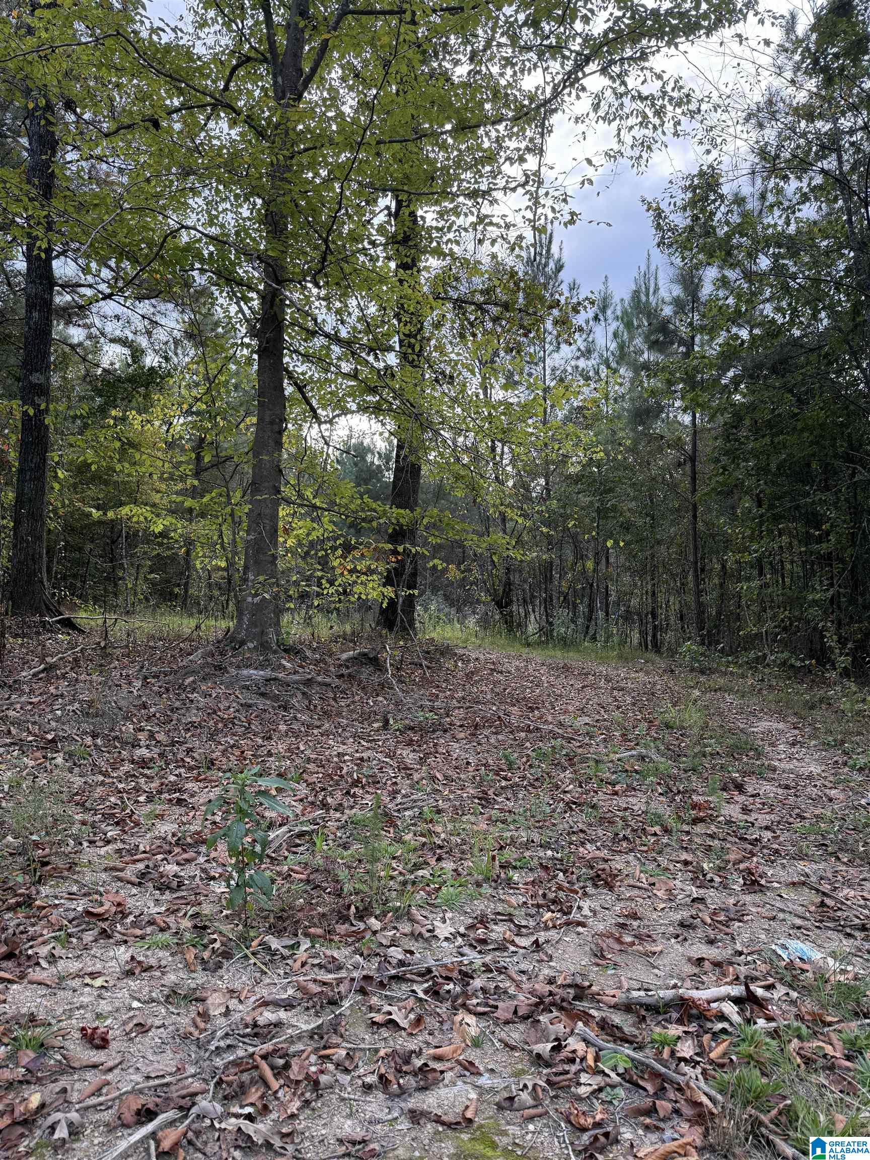 4 Sweet Apple Road, Unit 7 Cropwell, AL 35054 - Photo 1 of 6