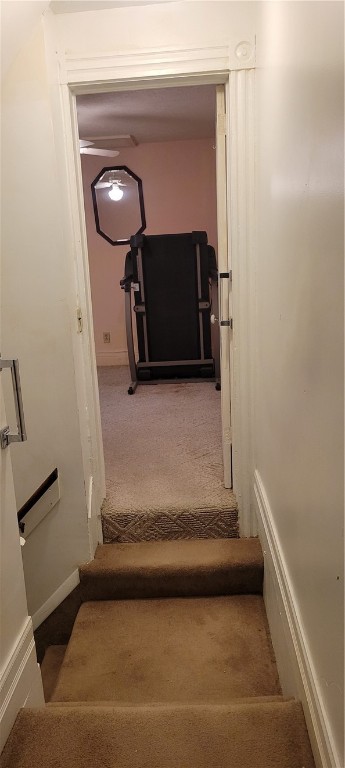 39 Taylor Street Rochester, NY 14611 - Photo 16 of 22