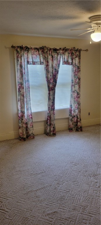 39 Taylor Street Rochester, NY 14611 - Photo 18 of 22