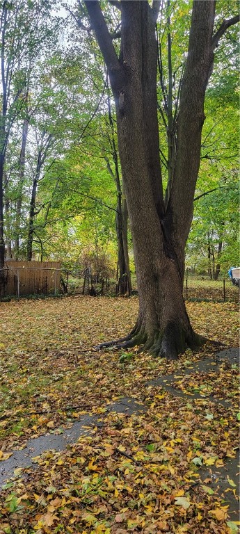 39 Taylor Street Rochester, NY 14611 - Photo 5 of 22