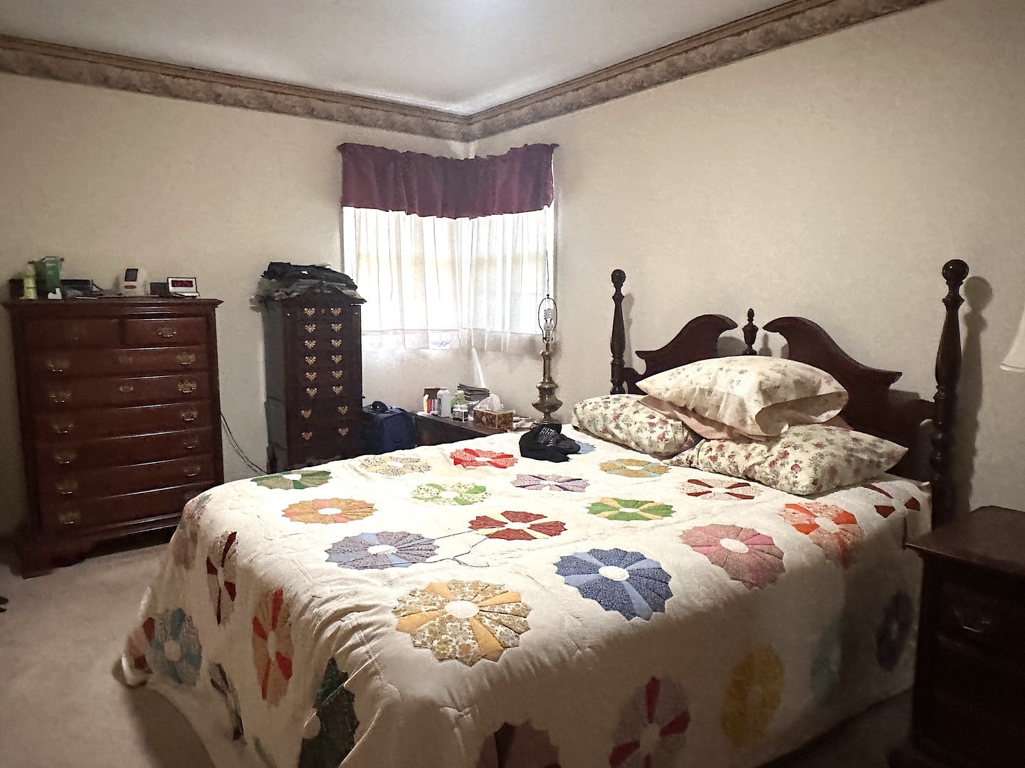 22 Old Brick Road Murphysboro, IL 62966 - Photo 6 of 15