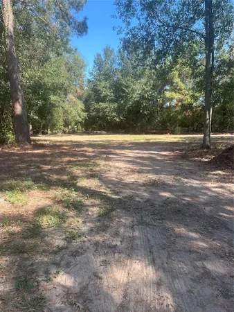 a view of yard with trees