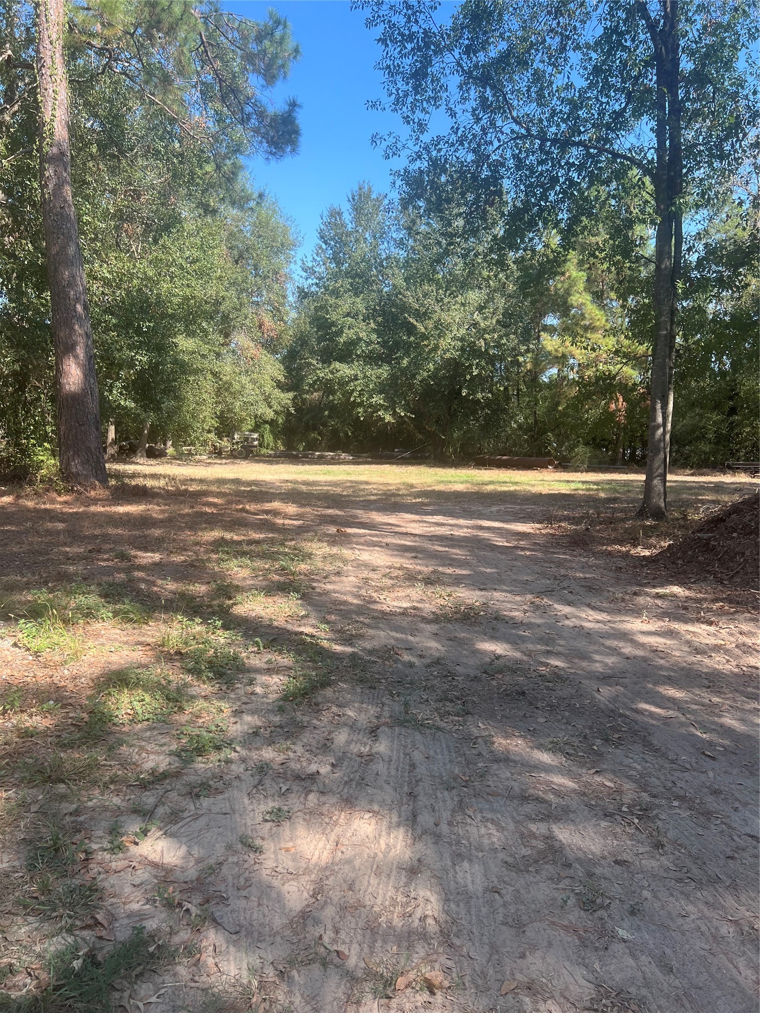 0 Witt Circle Rd Spring Spring, TX 77373 - Photo 4 of 5 a view of a yard with large trees