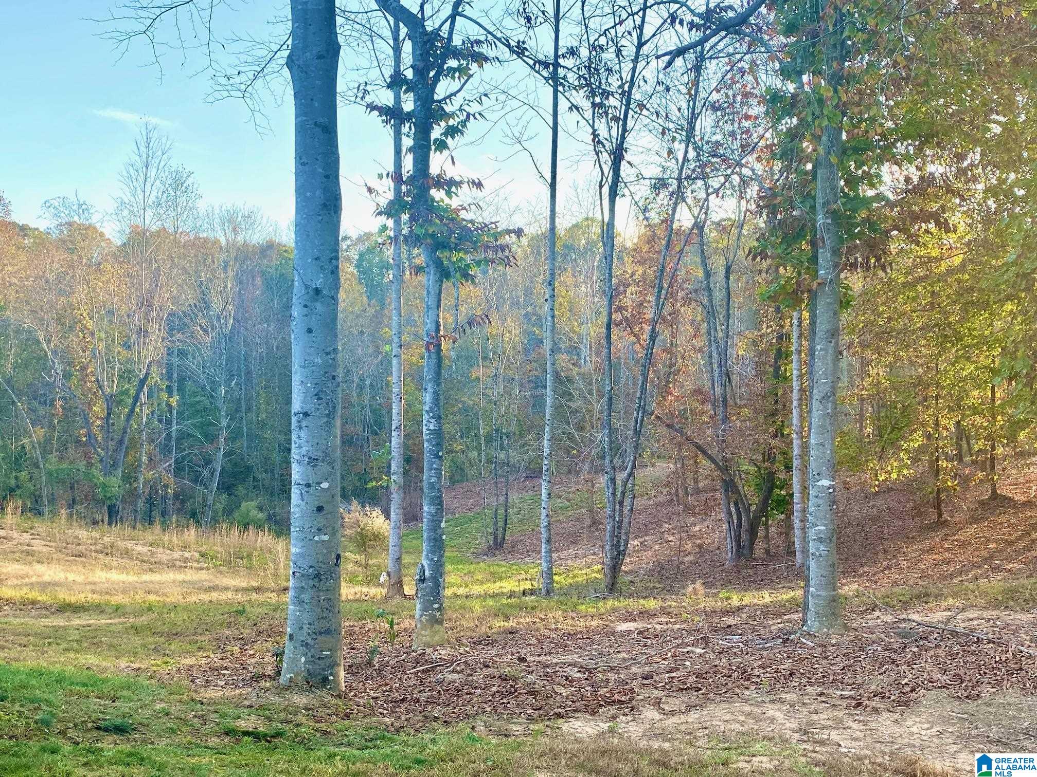 325 County Road 13 Heflin, AL 36264 - Photo 22 of 56