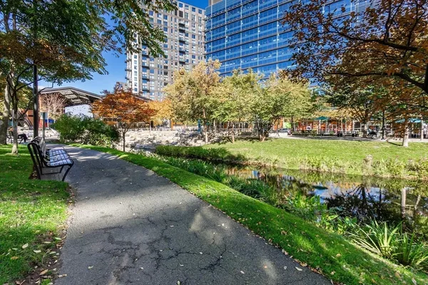 a view of a garden with an outdoor space