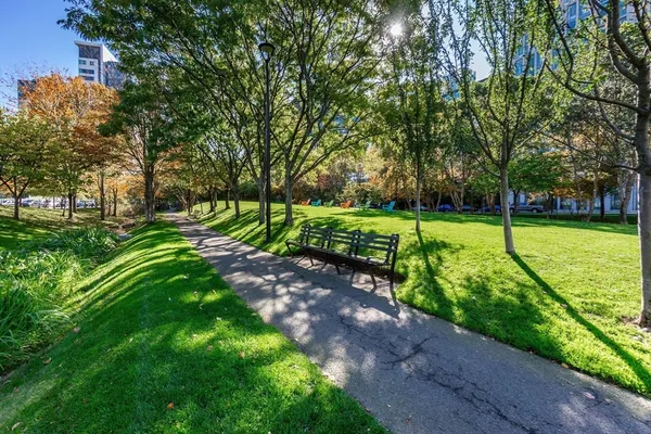 a view of a park with large trees