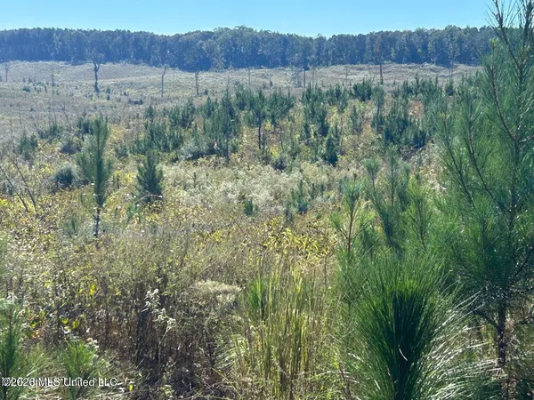 $112,000 | 80-ac Skyline Road, Meridian, MS 39301