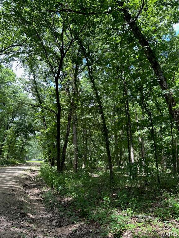 0 Hargrove Road St. Robert, MO 65584 - Photo 2 of 8