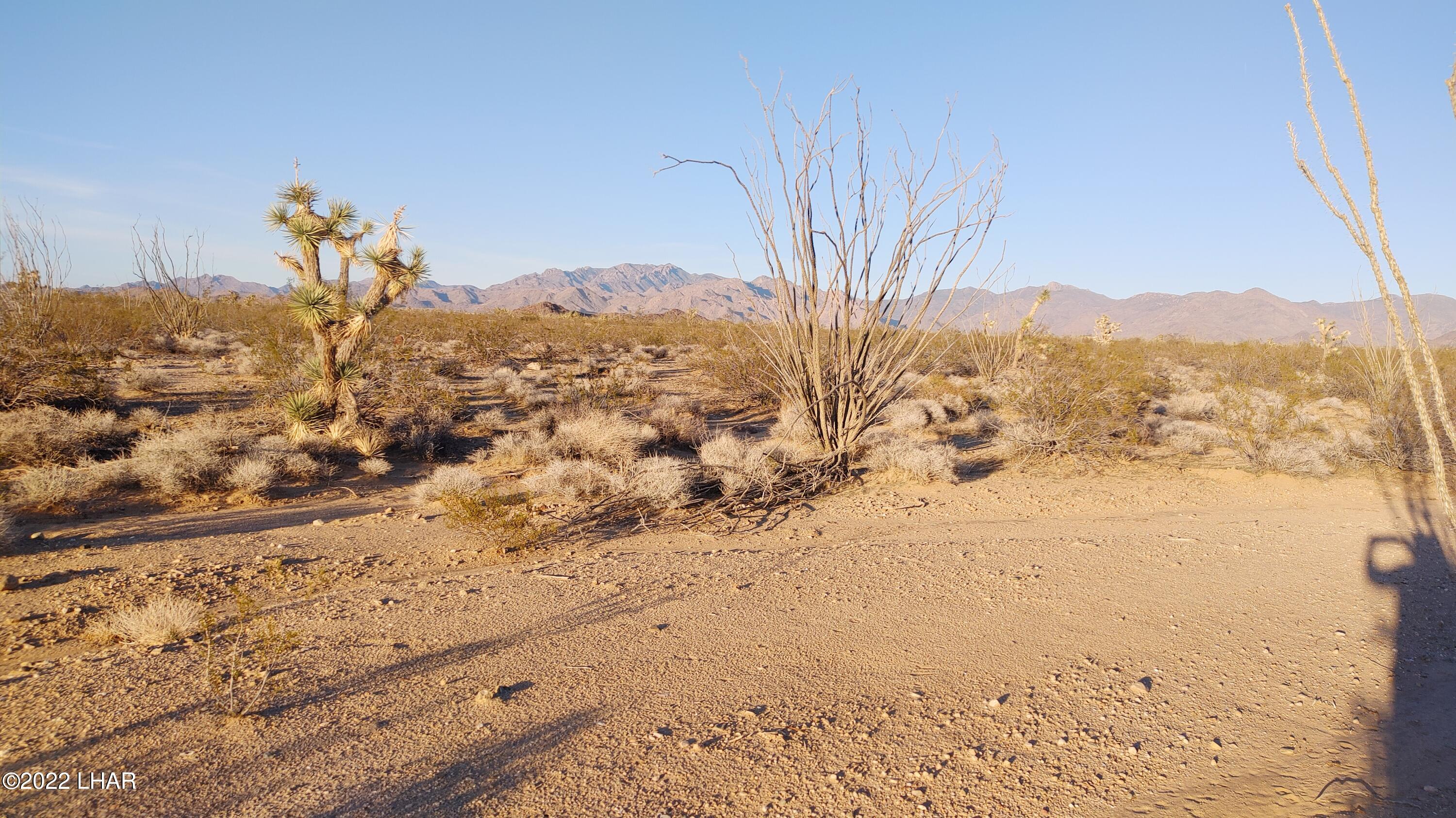 3384 South Custer Road Yucca, AZ 86438 - Photo 25 of 32 0205221730c