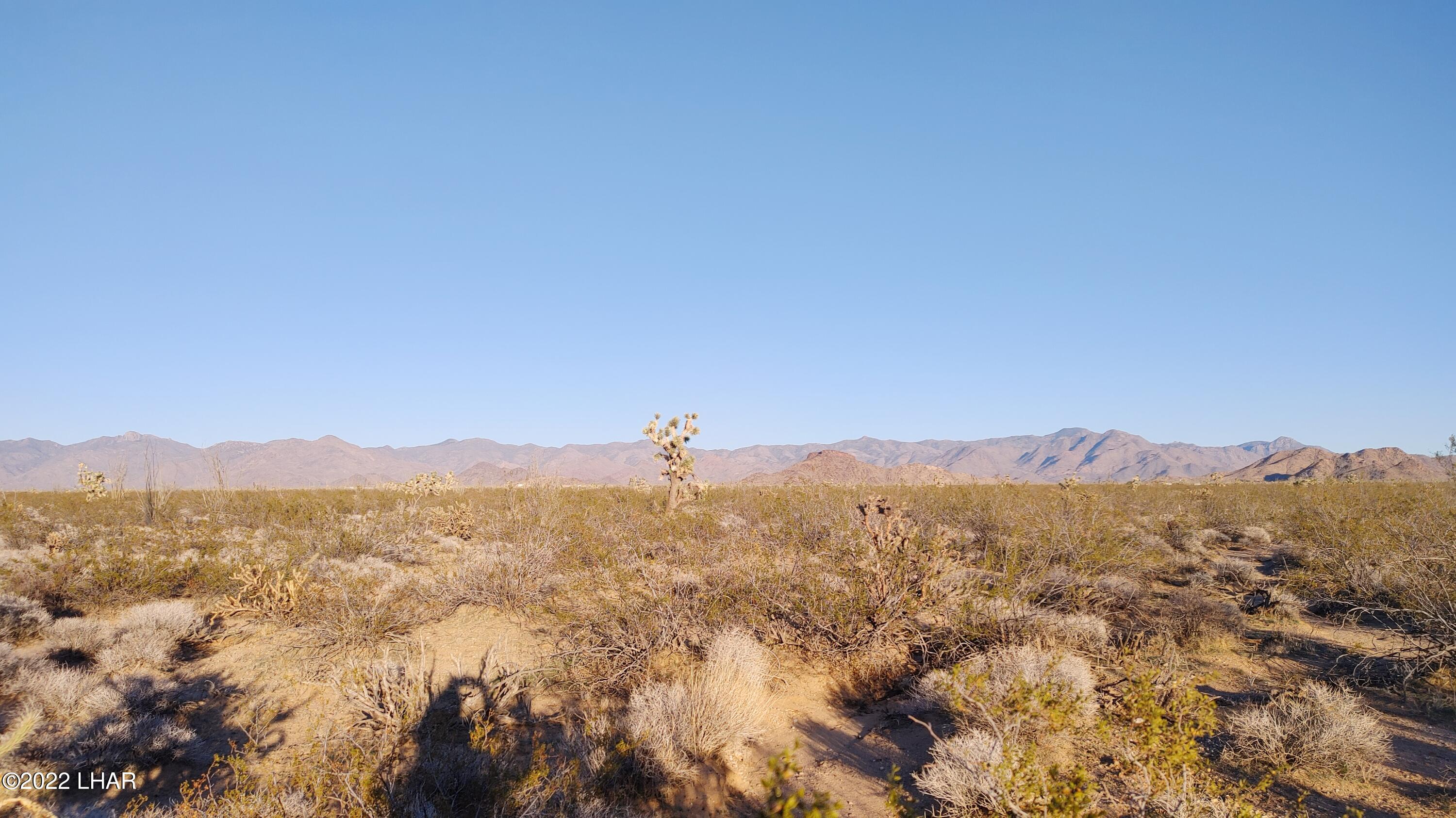 3384 South Custer Road Yucca, AZ 86438 - Photo 26 of 32 0205221724c