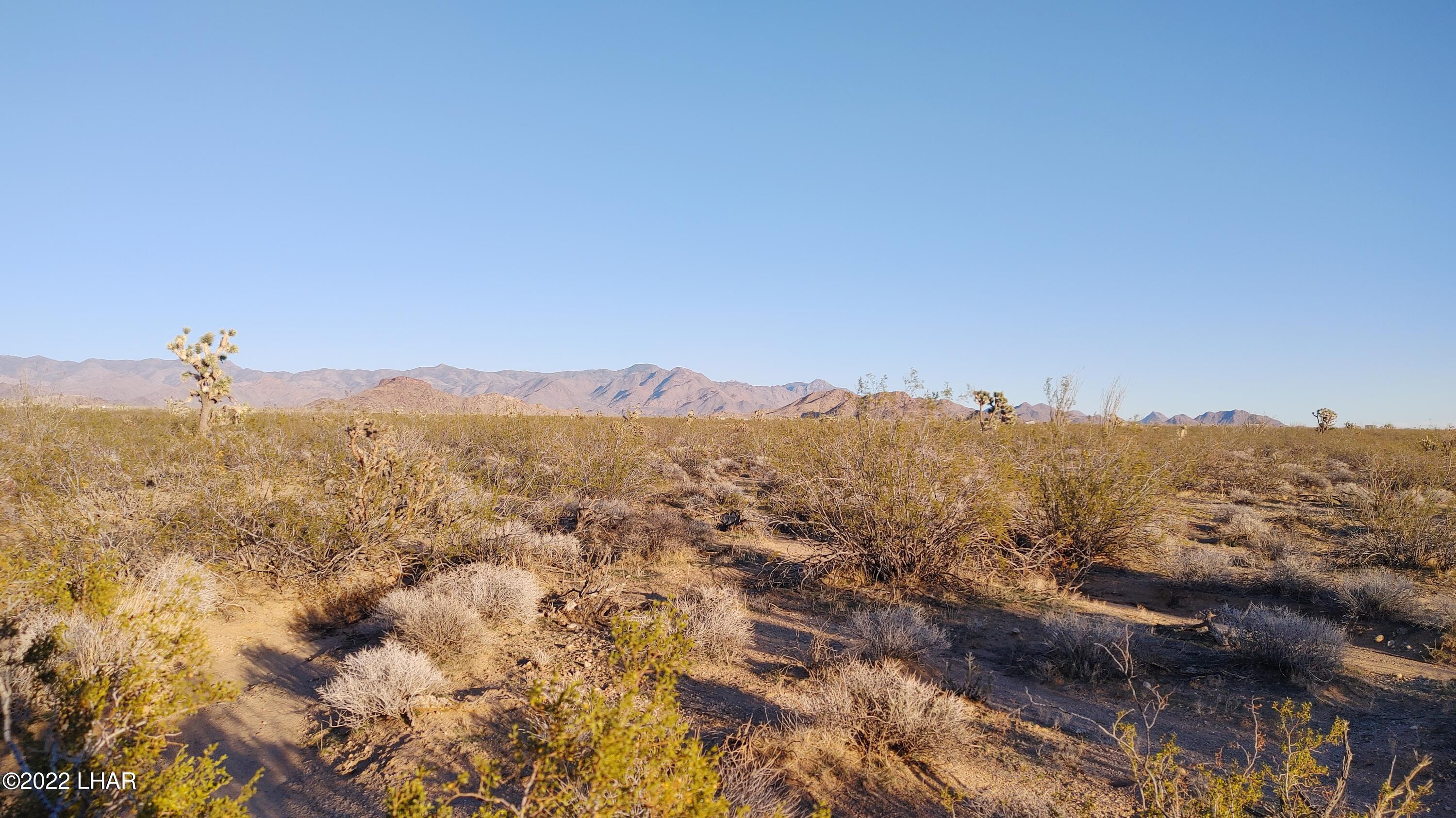 3384 South Custer Road Yucca, AZ 86438 - Photo 27 of 32 0205221724e