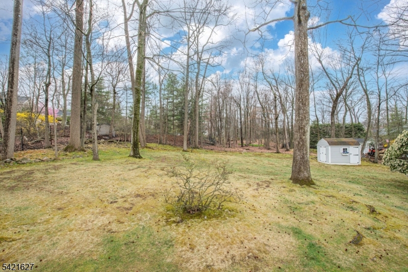 4 Oak Ridge North Caldwell, NJ 07006 - Photo 32 of 33 a view of yard with tree