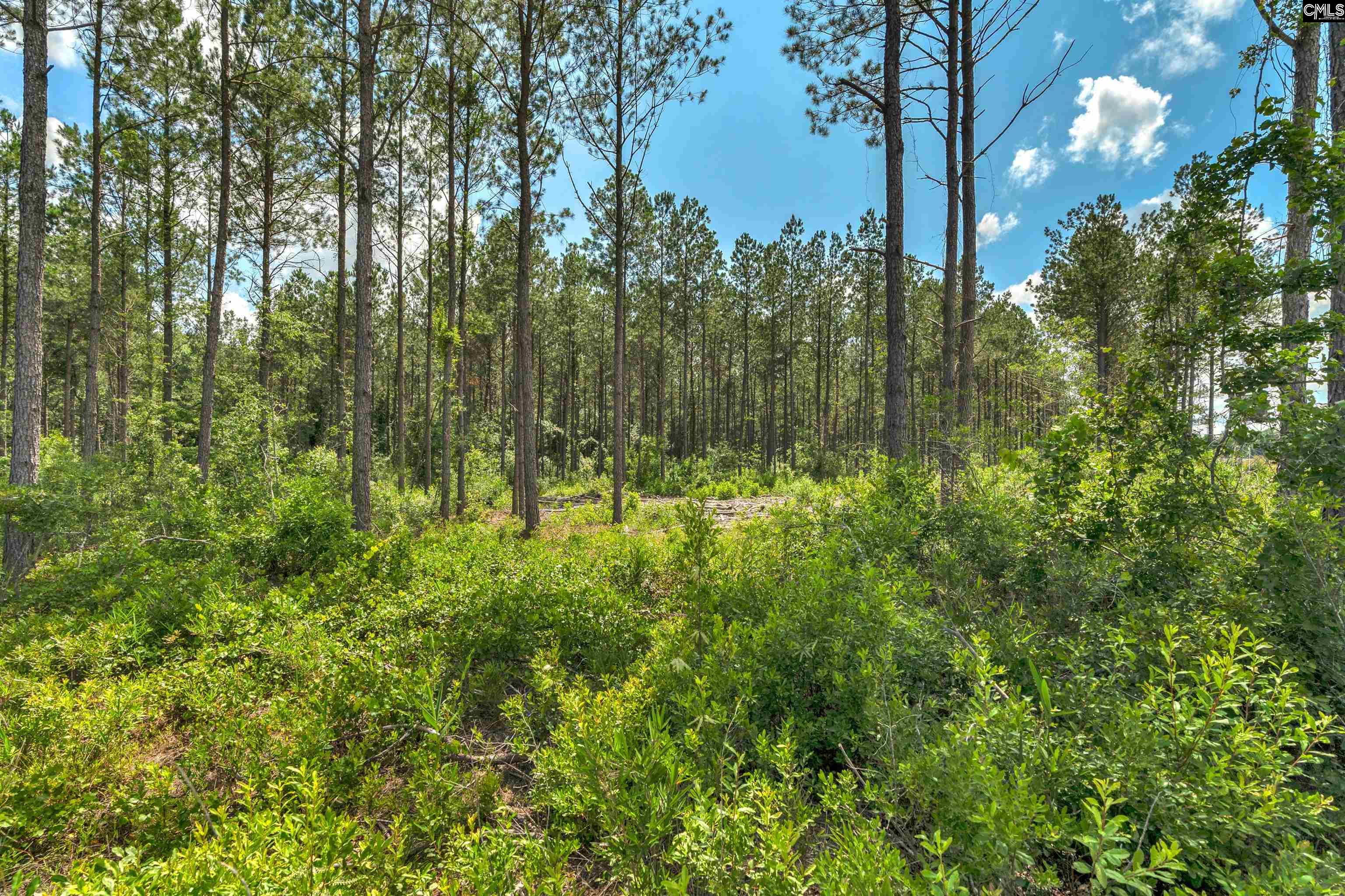 0 North Brewington Road, Unit 10 Manning, SC 29102 - Photo 3 of 29