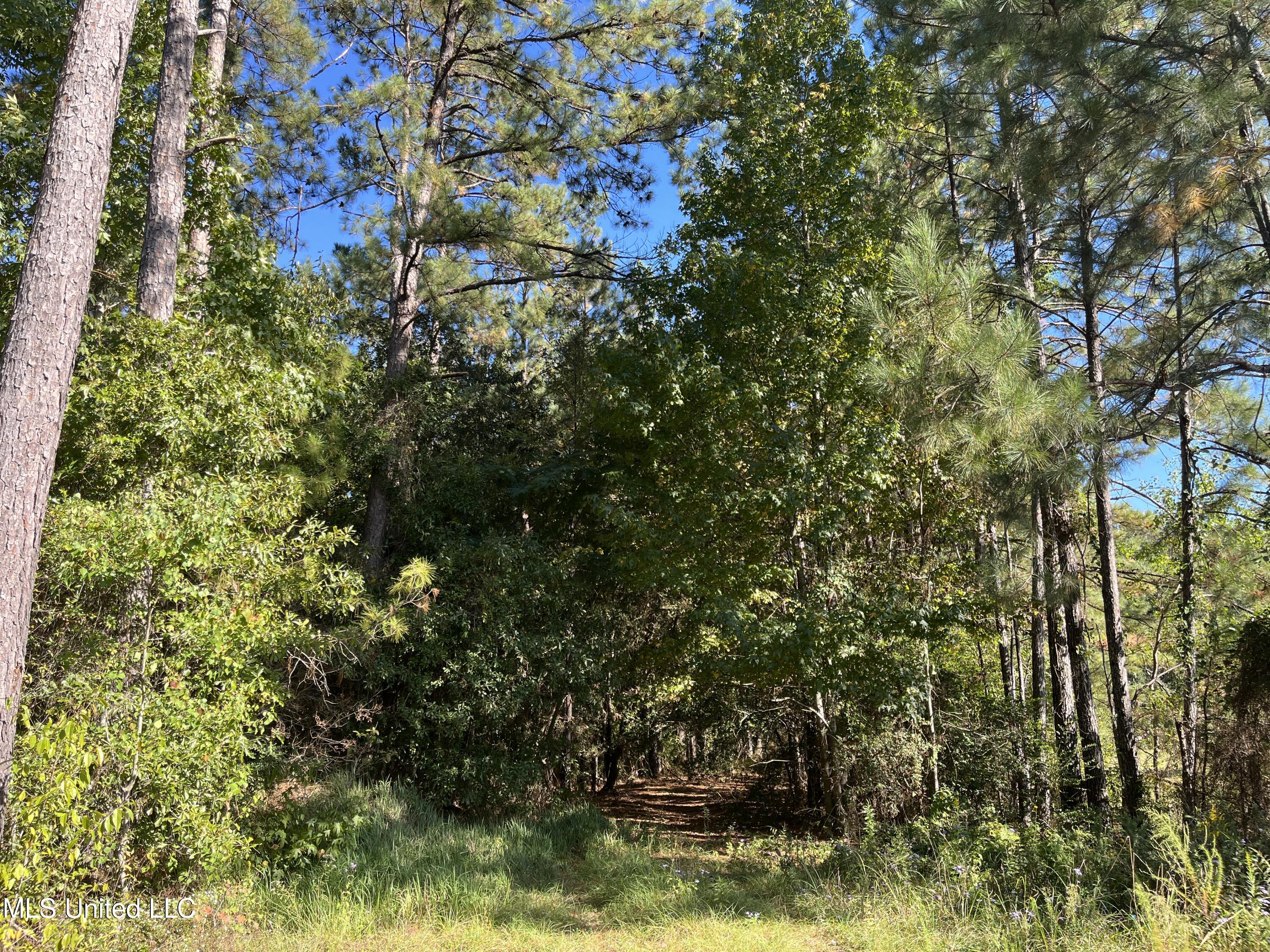 0 Timberlane Road Picayune, MS 39466 - Photo 4 of 4 IMG_6603