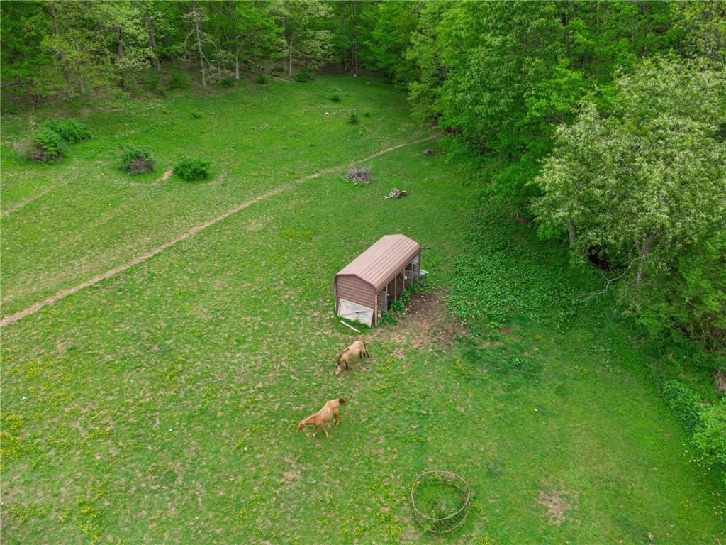 1433 Blacks Hollow Road Spring Church, PA 15686 - Photo 3 of 37