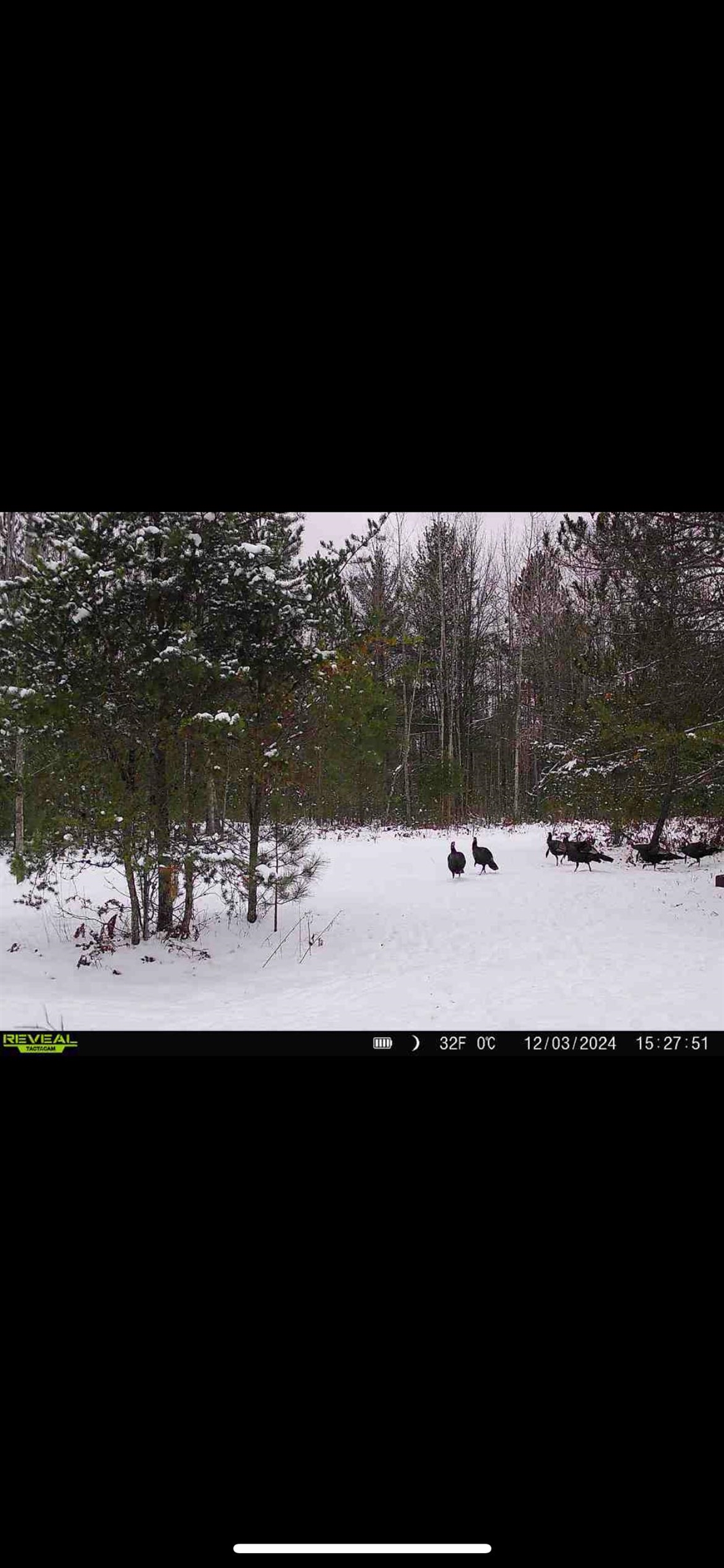 1667 East Walker Road Lake City, MI 49651 - Photo 35 of 54