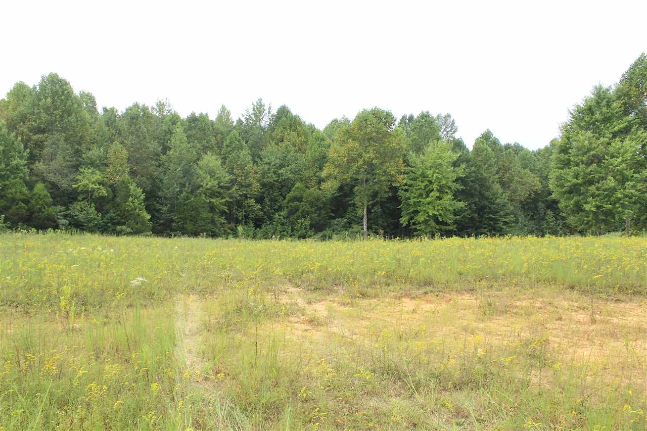 2039 Dexterville-Oak Ridge Road Morgantown, KY 42261 - Photo 3 of 17 Gallery Image 3