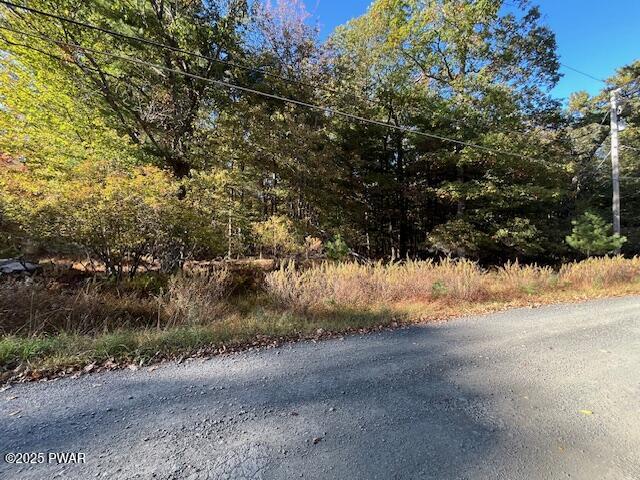 Lot 247 Squirrel Road Dingmans Ferry, PA 18328 - Photo 1 of 10