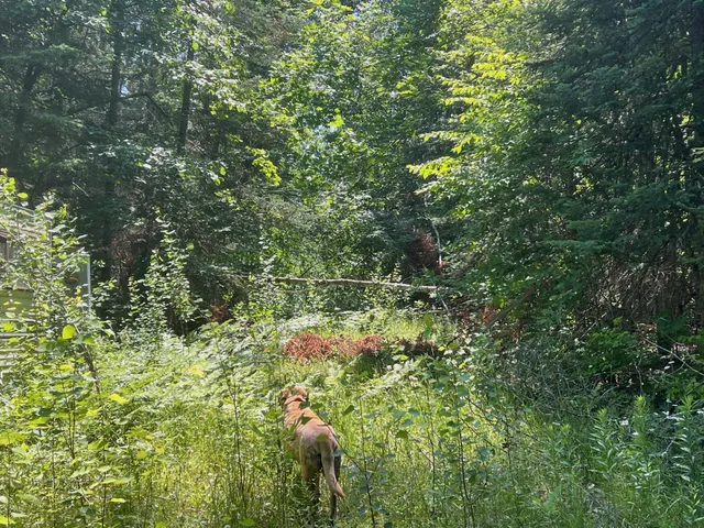 $129,000 | 59112 412th Place, Swatara, MN 55785