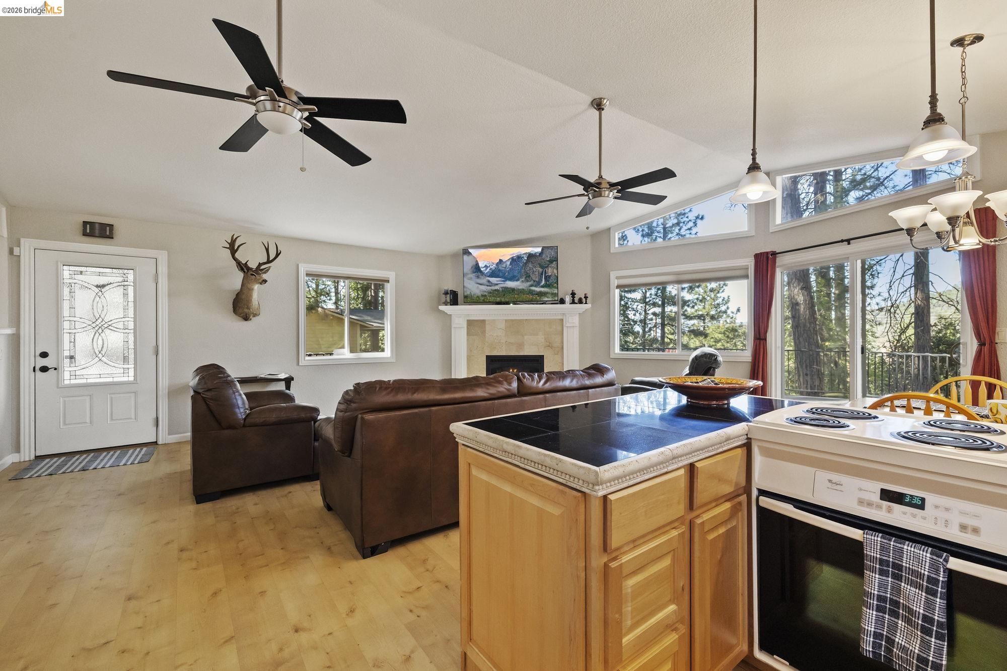 19369 Ferretti Road Groveland, CA 95321 - Photo 45 of 45 Kitchen with white appliances, hanging light fixtures, light wood-style floors, open floor plan, and a fireplace