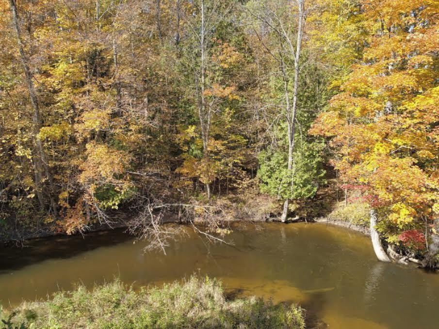 18871 Moore Road Thompsonville, MI 49683 - Photo 54 of 81 River views