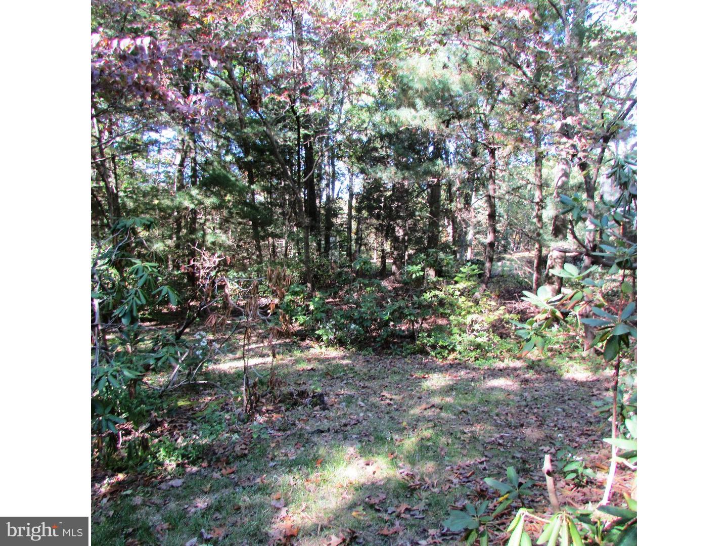 810 Hopewell Road Marlton, NJ 08053 - Photo 16 of 18