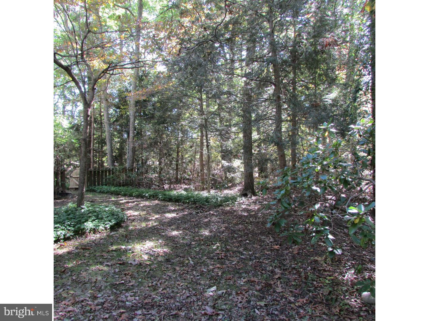 810 Hopewell Road Marlton, NJ 08053 - Photo 18 of 18