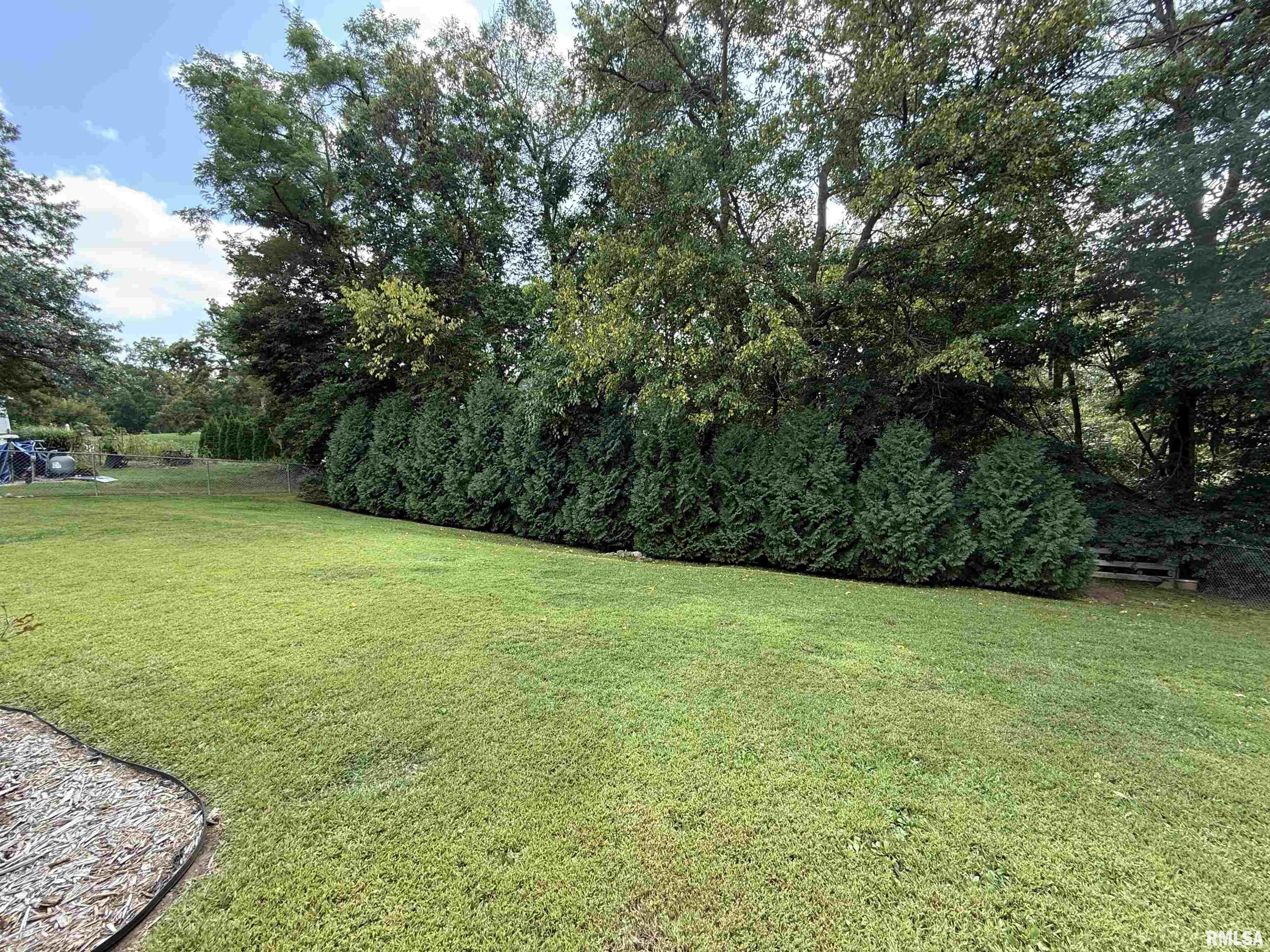 1012 2nd Street Lacon, IL 61540 - Photo 25 of 30