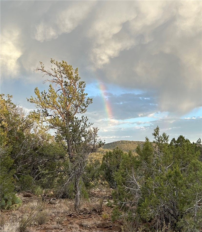 46675 North Edge Ridge Road Seligman, AZ 86337 - Photo 28 of 28