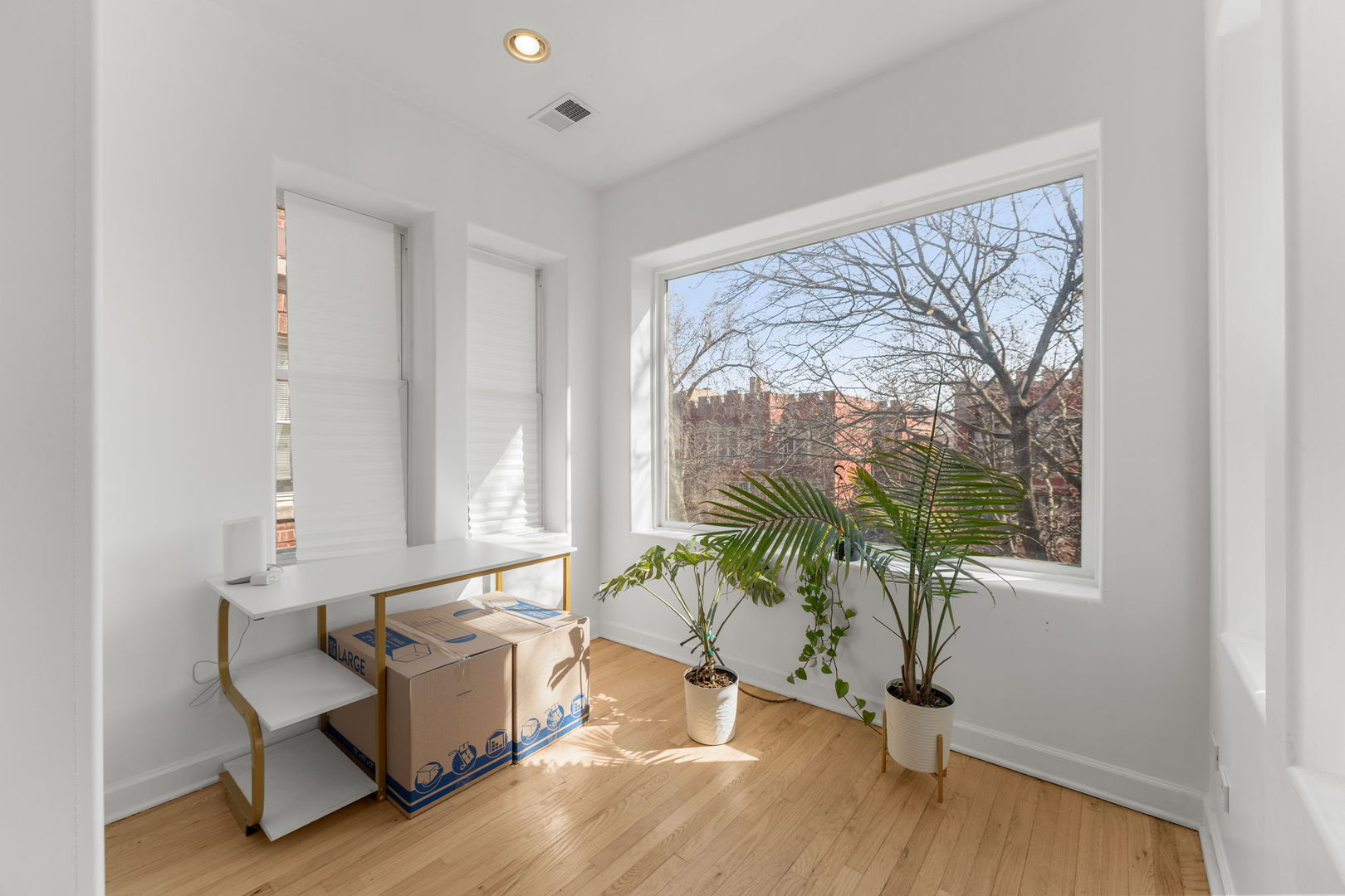 6722 South Ridgeland Avenue, Unit 3S Chicago, IL 60649 - Photo 6 of 17 a living room with furniture and a large window
