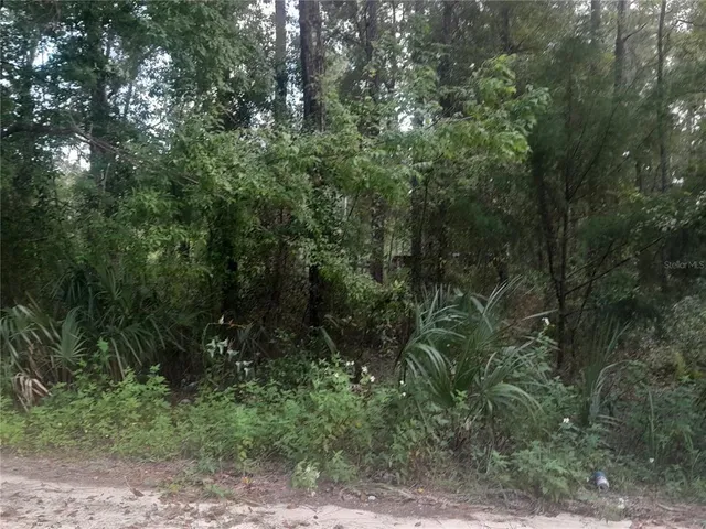 $12,500 | Tbd Northeast 52 Place, Williston, FL 32696