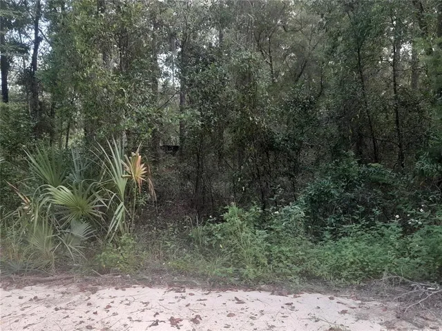 $12,500 | Tbd Northeast 52 Place, Williston, FL 32696
