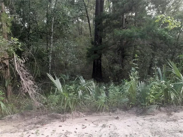 $12,500 | Tbd Northeast 52 Place, Williston, FL 32696