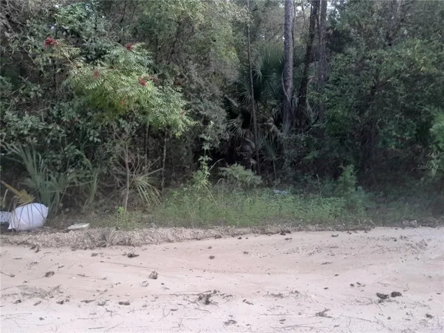 $12,500 | Tbd Northeast 52 Place, Williston, FL 32696