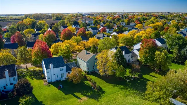 a view of a lake with a tree