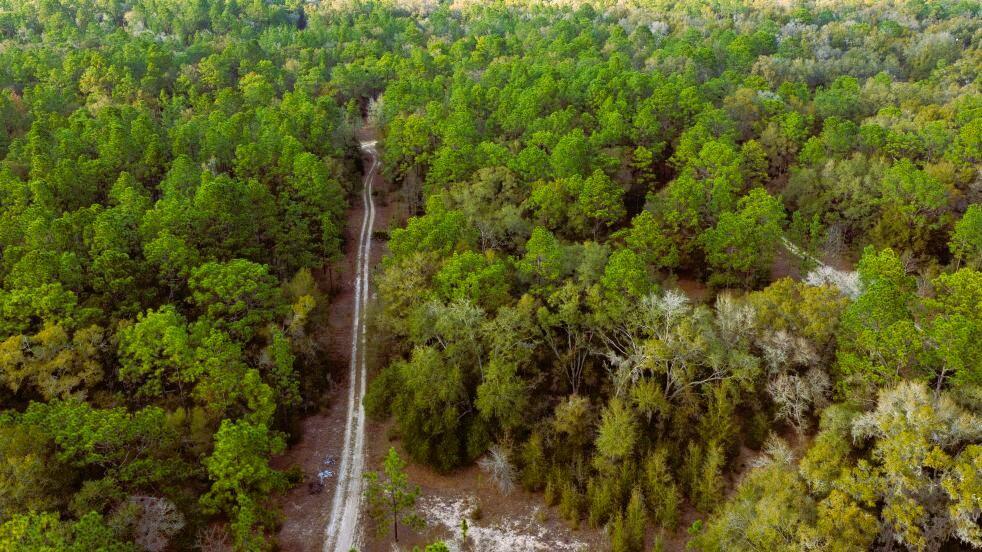 0 Southwest 152nd Terrace Ocala, FL 34481 - Photo 11 of 14 a view of a forest of a house