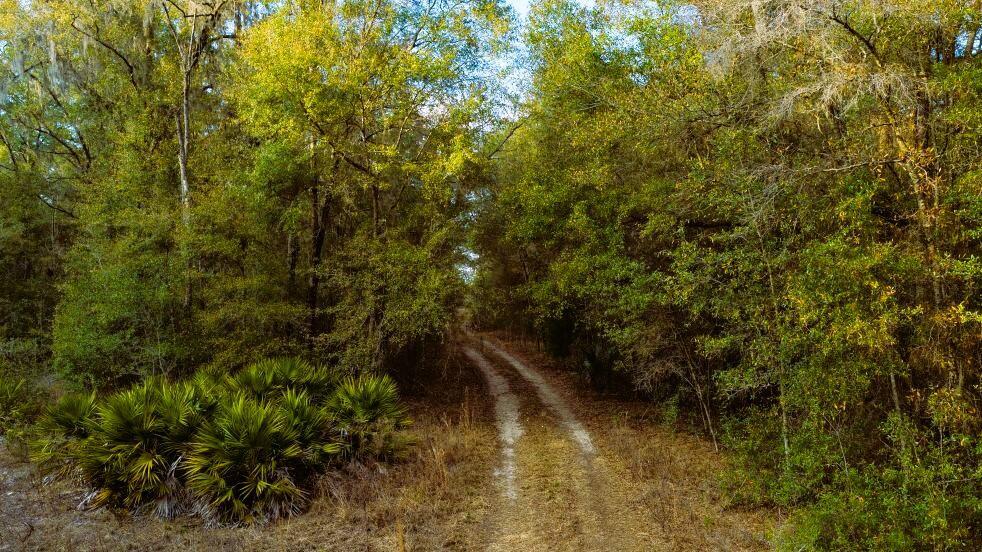 0 Southwest 152nd Terrace Ocala, FL 34481 - Photo 13 of 14 a view of a lake view
