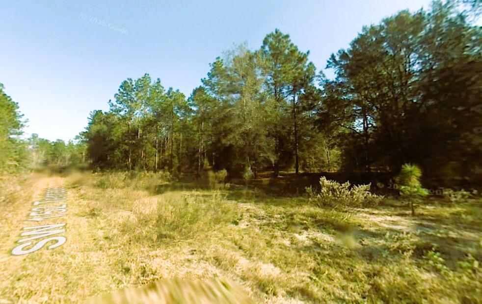 0 Southwest 152nd Terrace Ocala, FL 34481 - Photo 14 of 14 a view of swimming pool