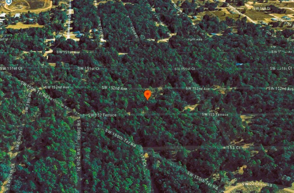 0 Southwest 152nd Terrace Ocala, FL 34481 - Photo 3 of 14 a view of a tree