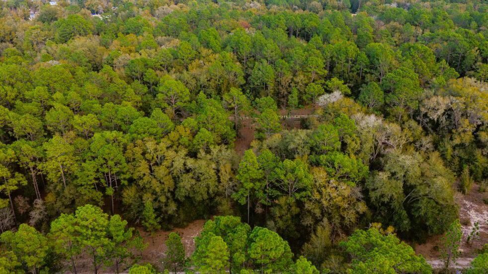 0 Southwest 152nd Terrace Ocala, FL 34481 - Photo 4 of 14 a view of a lots of trees and bushes