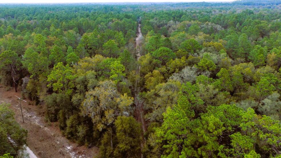 0 Southwest 152nd Terrace Ocala, FL 34481 - Photo 5 of 14 a view of a city with lush green forest