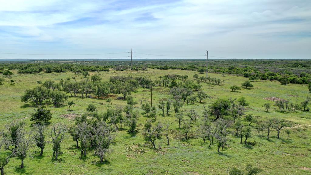 1443 Gina Road Harper, TX 78631 - Photo 16 of 49 a view of a green field with lots of trees