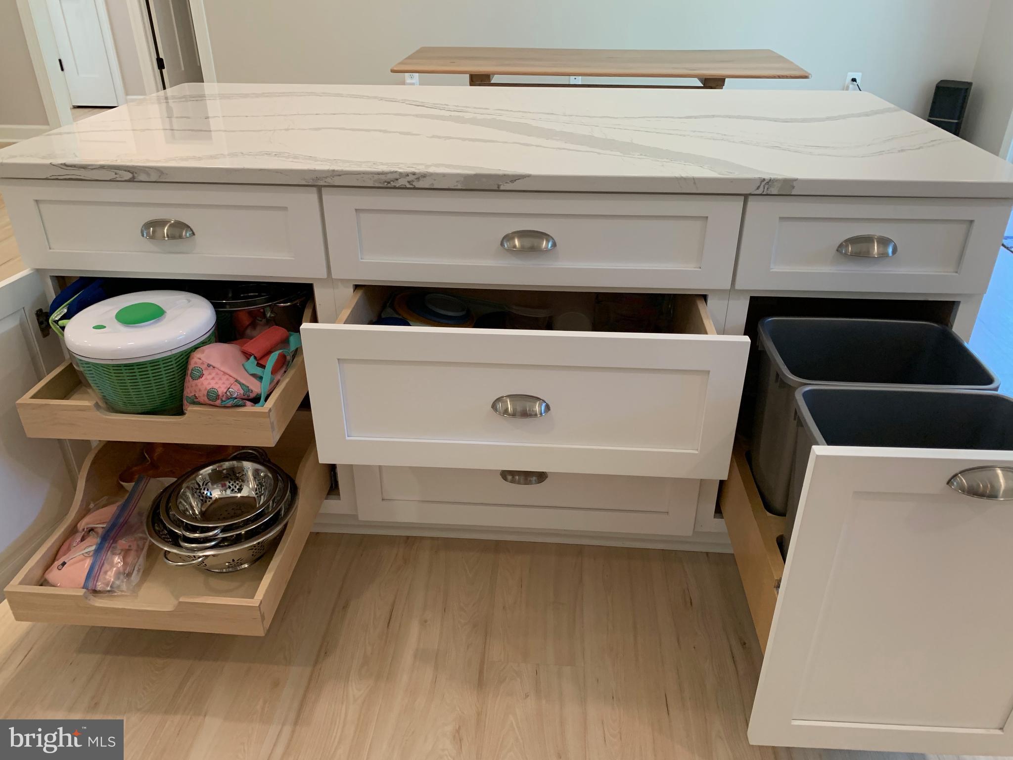 3213 Old Tanbark Road Luray, VA 22835 - Photo 23 of 93 pull out shelves with soft close doors