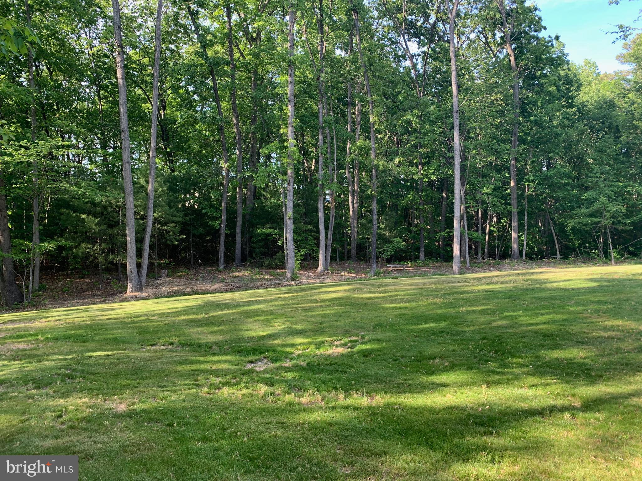 3213 Old Tanbark Road Luray, VA 22835 - Photo 25 of 93 Back yard