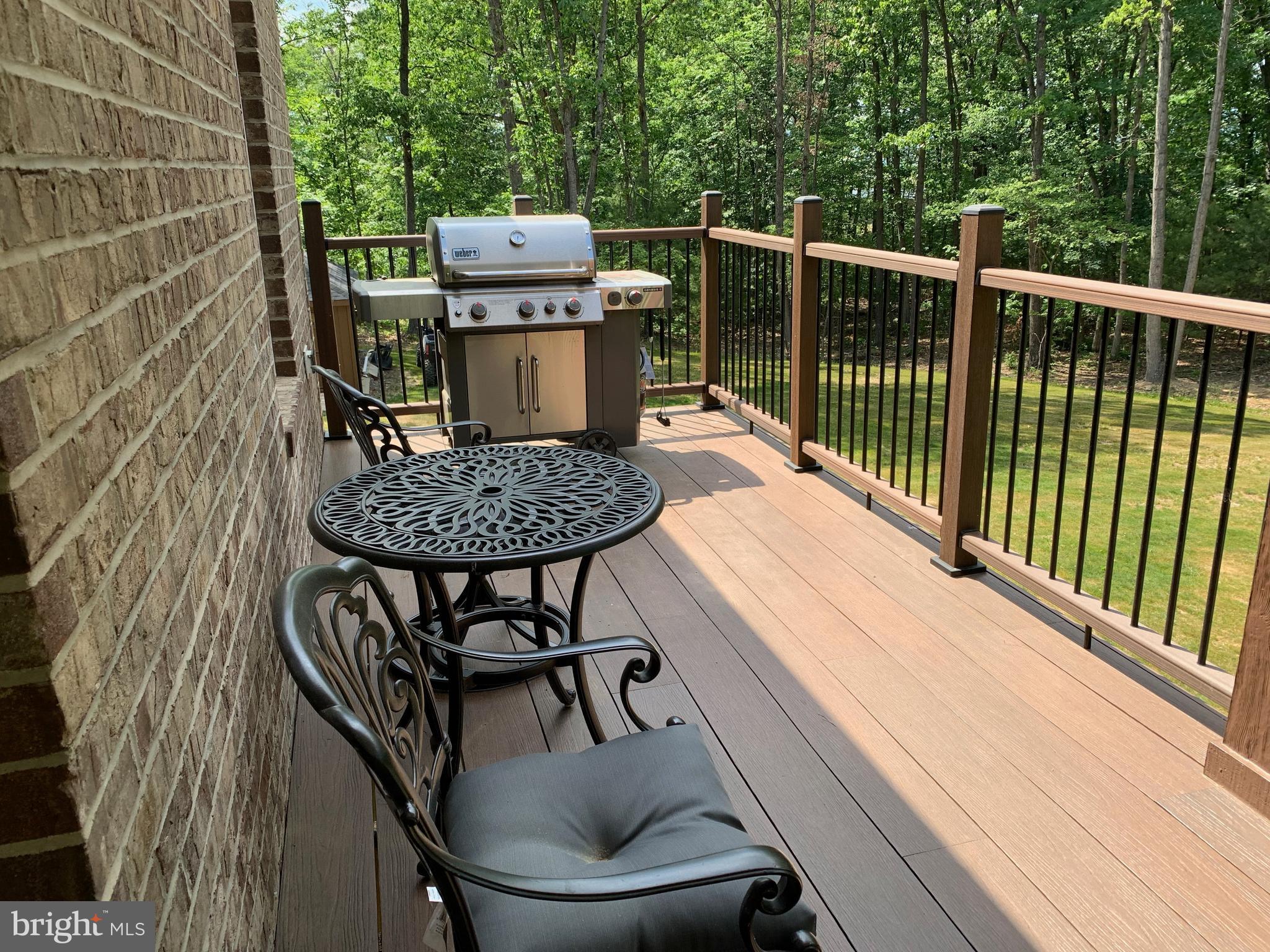 3213 Old Tanbark Road Luray, VA 22835 - Photo 30 of 93 Sturdy railing