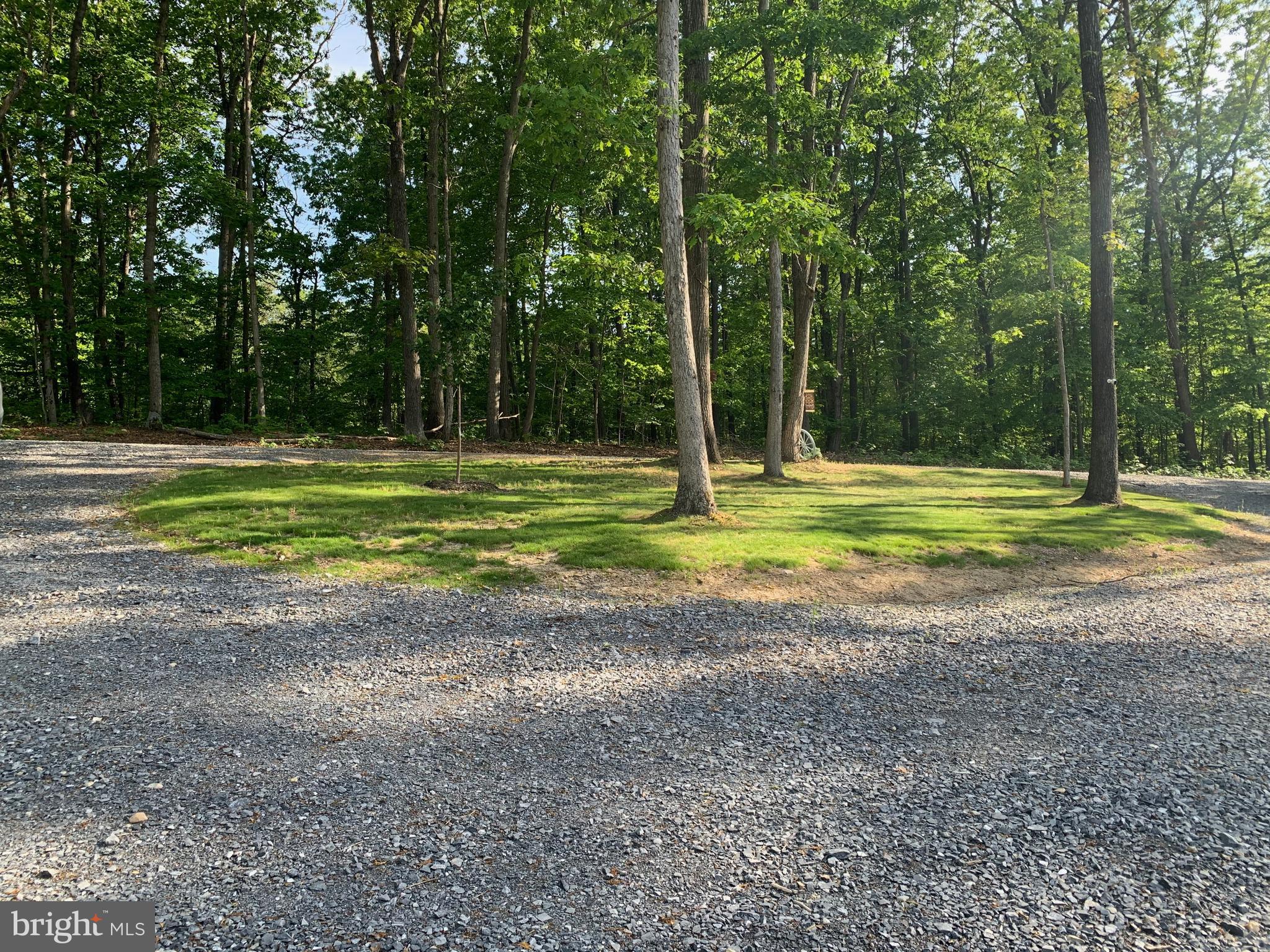 3213 Old Tanbark Road Luray, VA 22835 - Photo 33 of 93 Circular drive