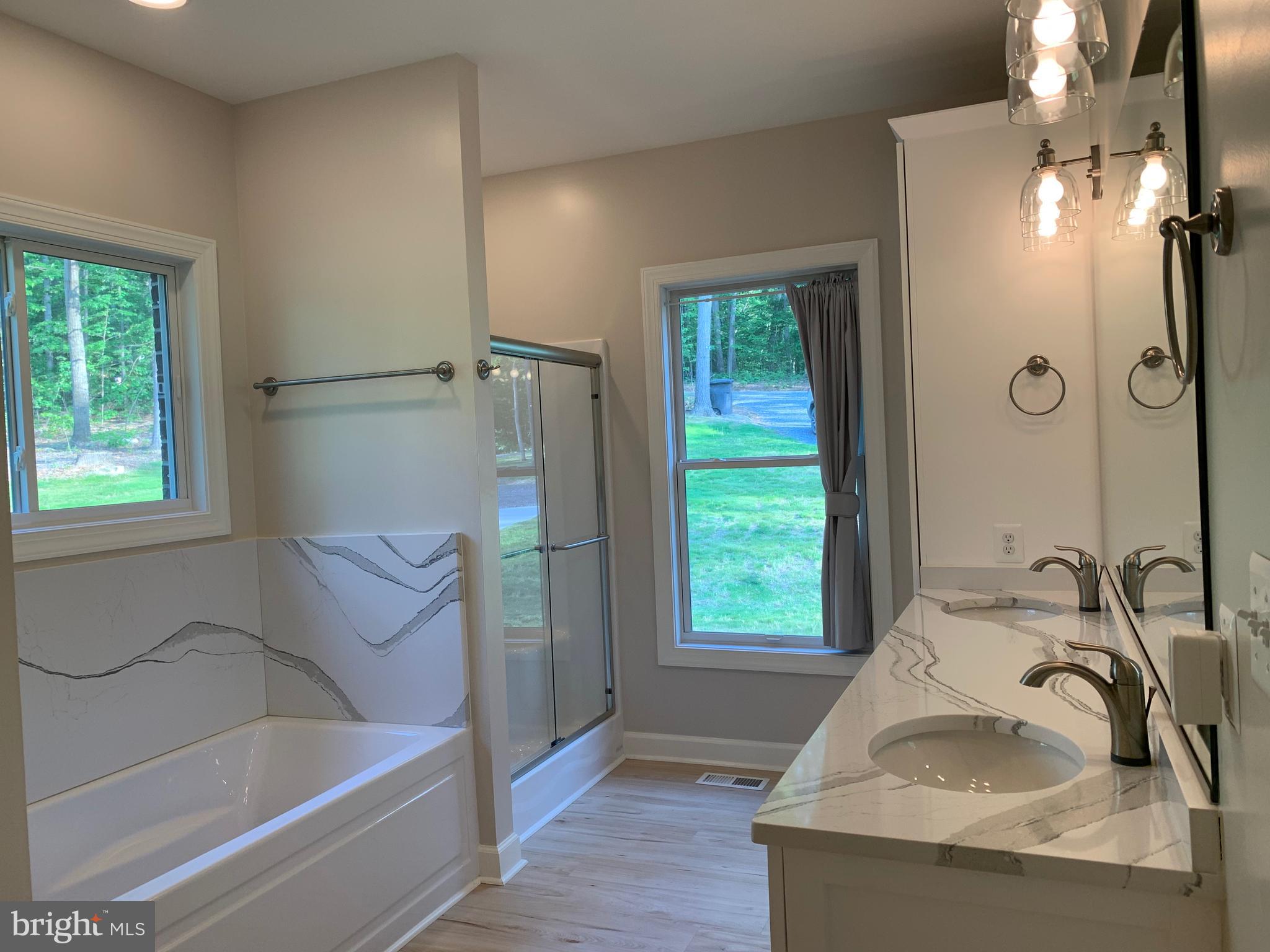 3213 Old Tanbark Road Luray, VA 22835 - Photo 47 of 93 Master bath