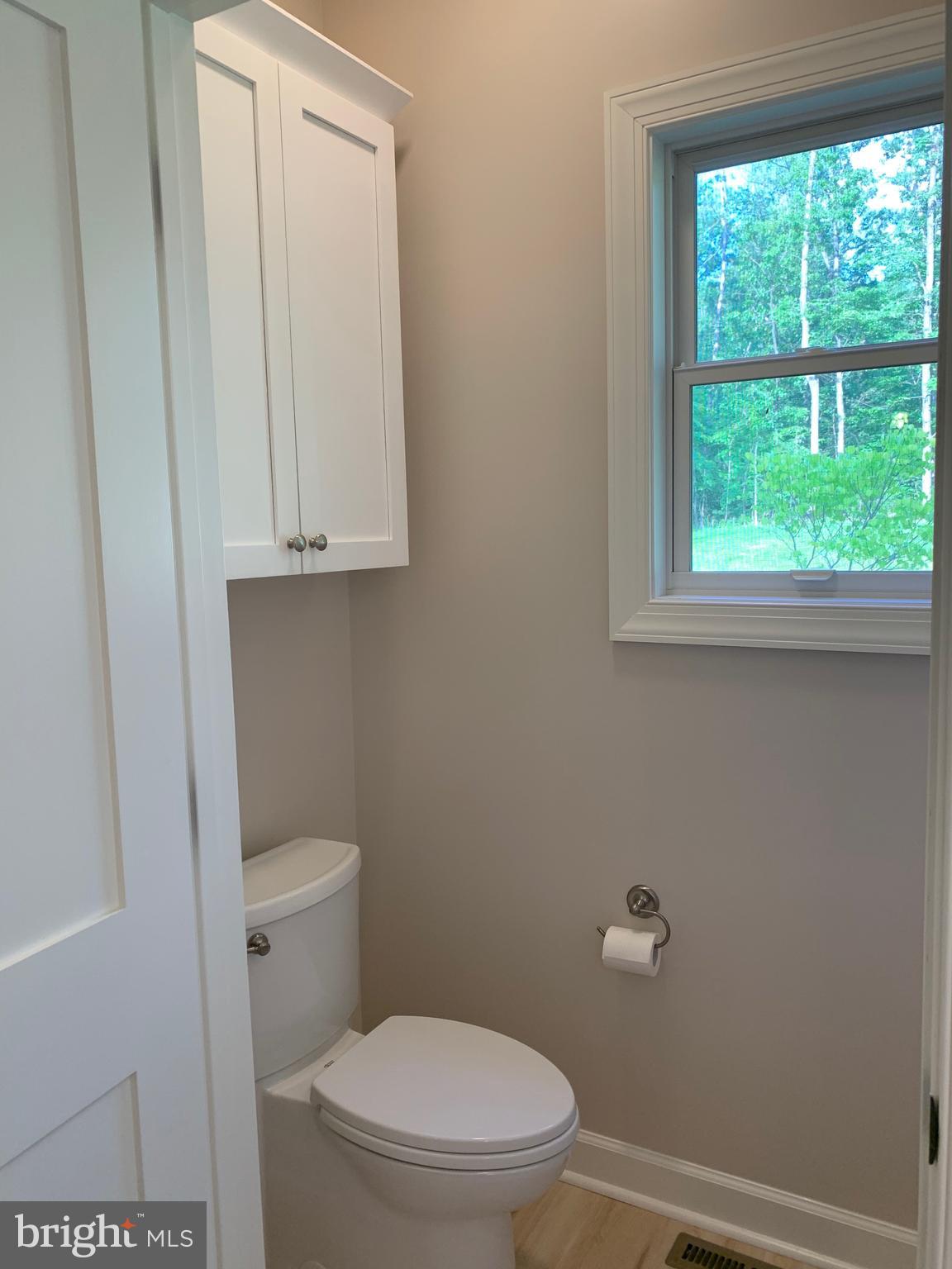 3213 Old Tanbark Road Luray, VA 22835 - Photo 50 of 93 Master Bath with separate toilet area